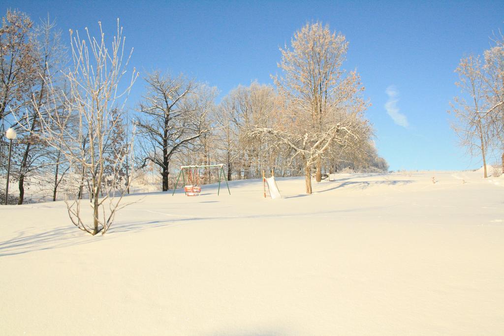 Agroturystyka Ulima Dziwiszow Exterior foto