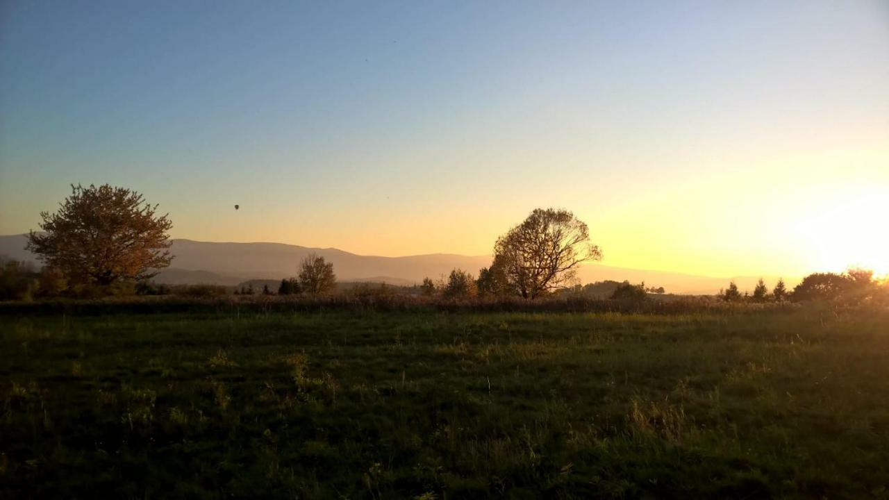 Agroturystyka Ulima Dziwiszow Exterior foto