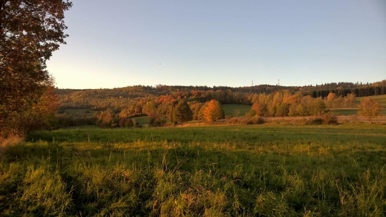 Agroturystyka Ulima Dziwiszow Exterior foto