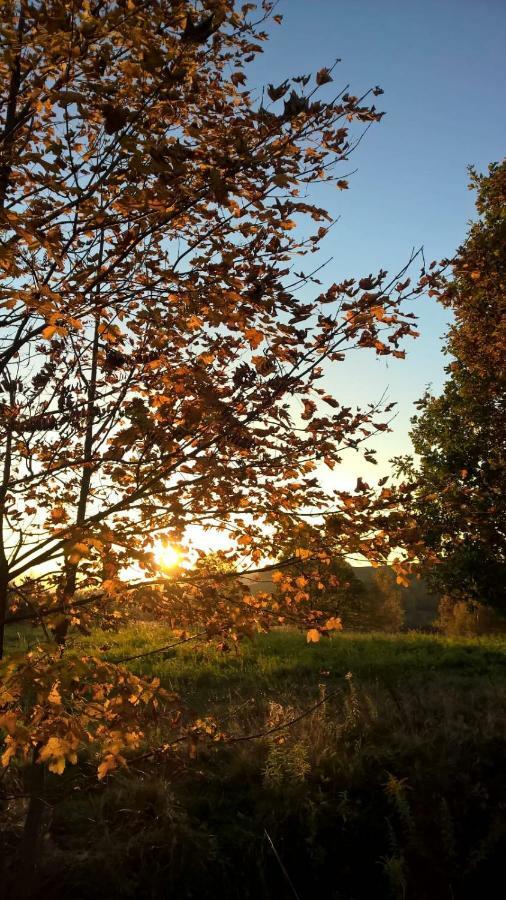 Agroturystyka Ulima Dziwiszow Exterior foto